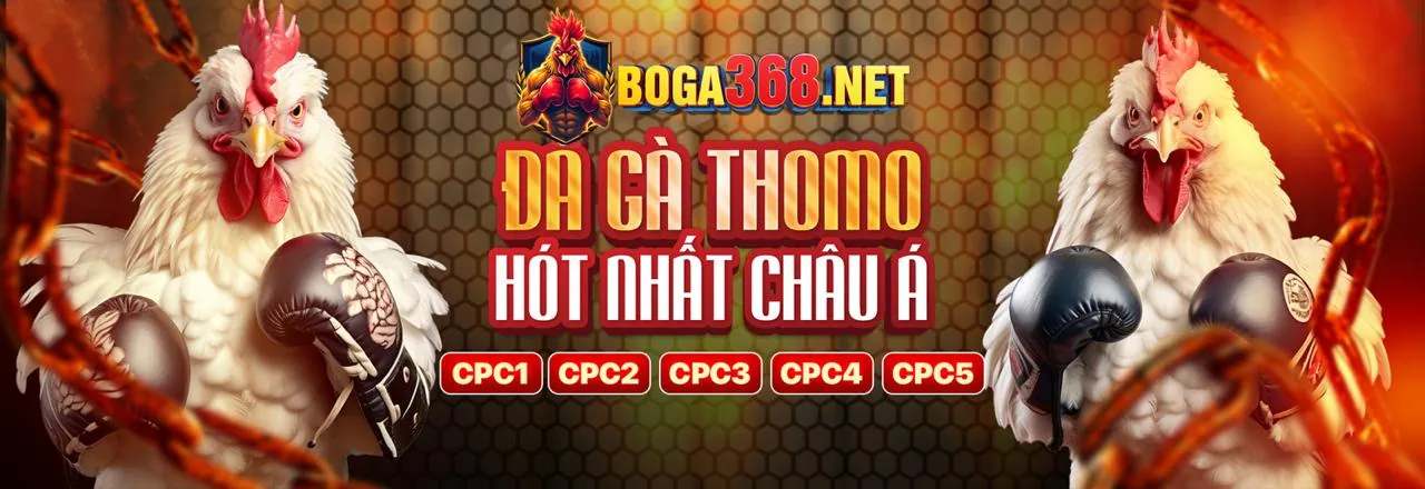 Tổng hợp các loại trò chơi phổ biến tại acb88